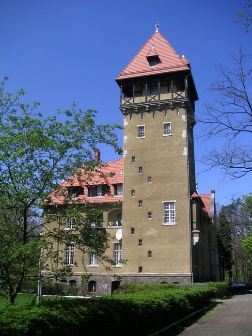 Pałac w Rogach