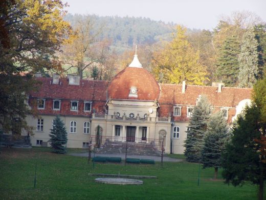 Pałac w Gliśnie - widok od strony sztucznej ruiny